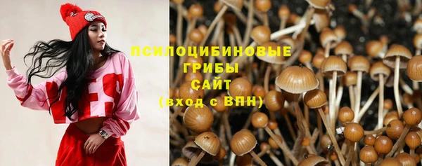 apvp Балабаново