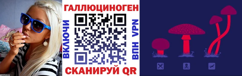 Псилоцибиновые грибы MAGIC MUSHROOMS  OMG как зайти  Валдай 
